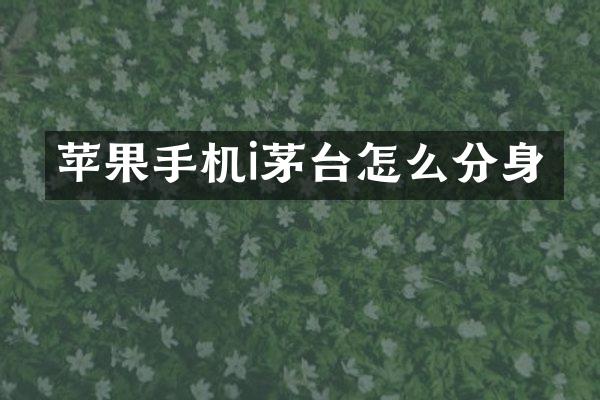 苹果手机i茅台怎么分身
