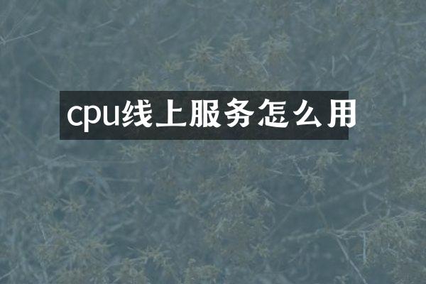 cpu线上服务怎么用