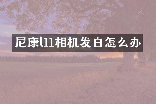 尼康l11相机发白怎么办