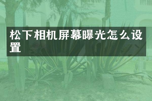相机屏幕曝光怎么设置