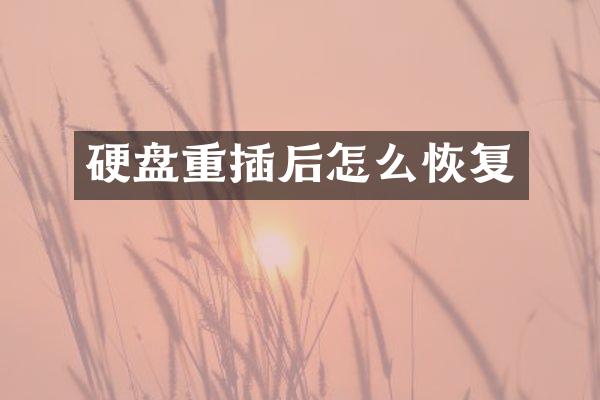 硬盘重插后怎么恢复