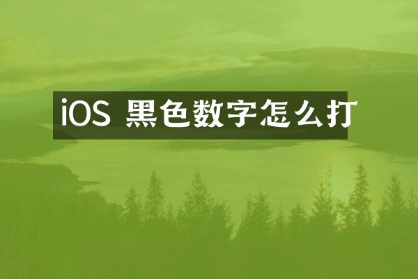 iOS 黑色数字怎么打