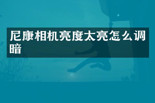 尼康相机亮度太亮怎么调暗