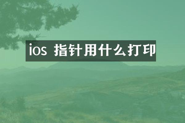 ios 指针用什么打印