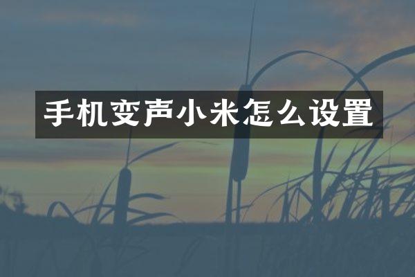 手机变声小米怎么设置