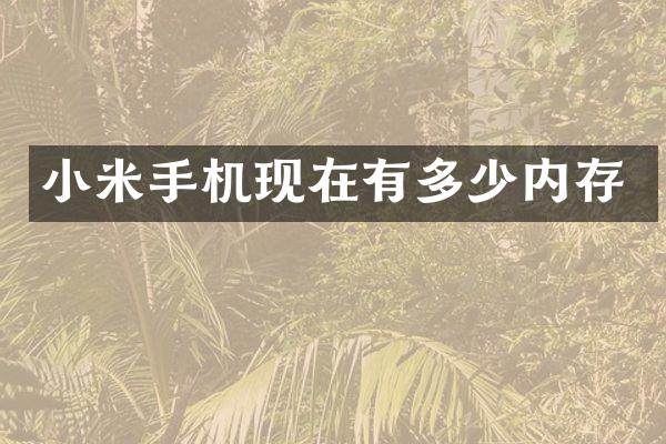 小米手机现在有多少内存