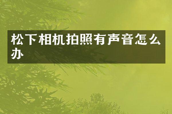 相机拍照有声音怎么办