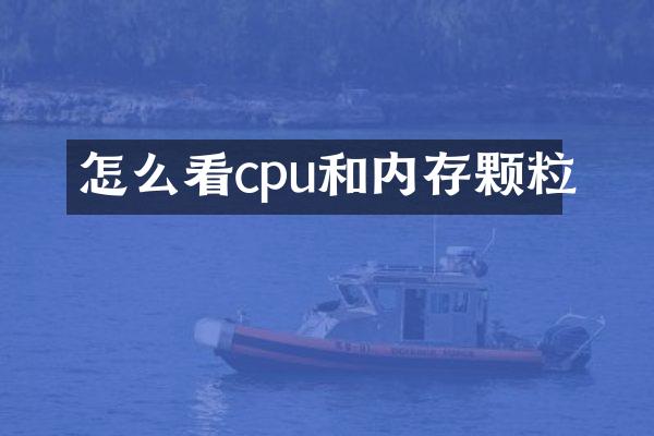 怎么看cpu和内存颗粒