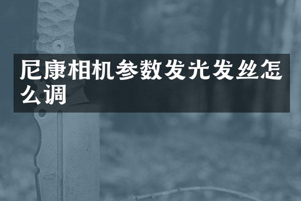 尼康相机参数发光发丝怎么调