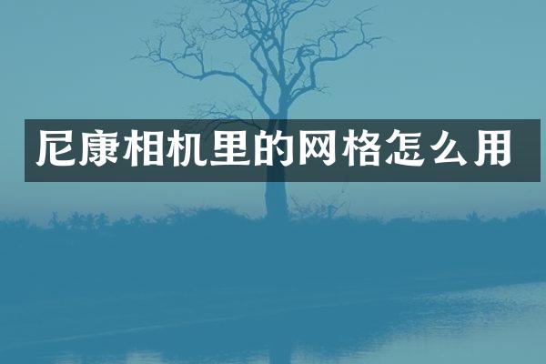 尼康相机里的网格怎么用