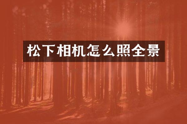 相机怎么照全景