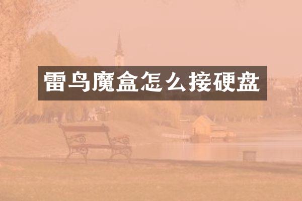 雷鸟魔盒怎么接硬盘