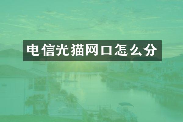 电信光猫网口怎么分