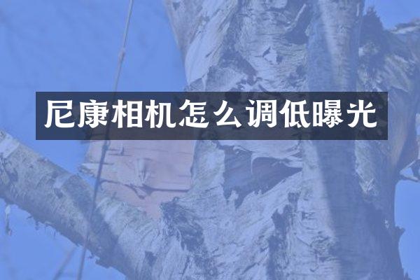 尼康相机怎么调低曝光