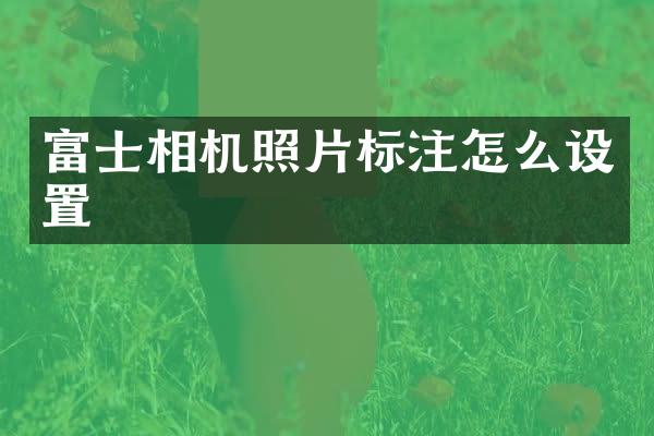富士相机照片标注怎么设置