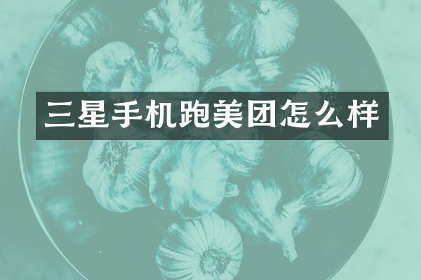 三星手机跑美团怎么样