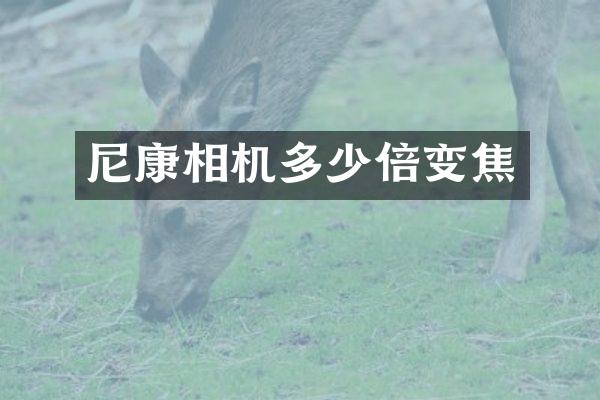 尼康相机多少倍变焦