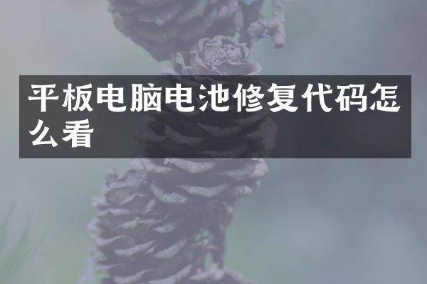 平板电脑电池修复代码怎么看