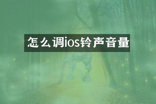 怎么调ios铃声音量