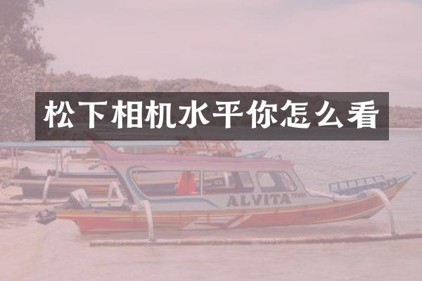 相机水平你怎么看