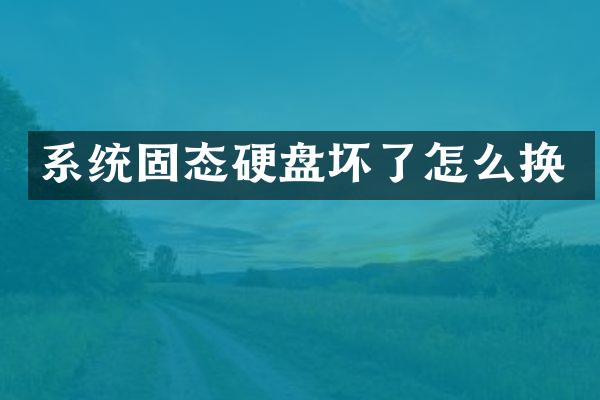 系统固态硬盘坏了怎么换