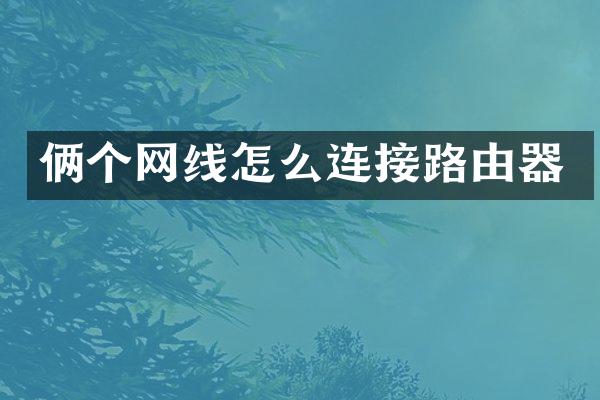 俩个网线怎么连接路由器
