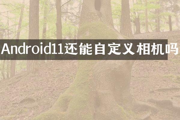 Android11还能自定义相机吗
