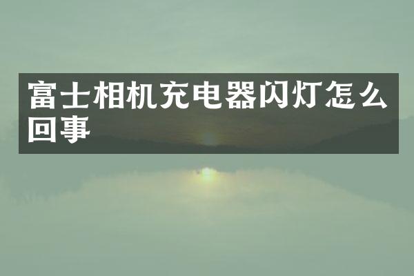 富士相机充电器闪灯怎么回事