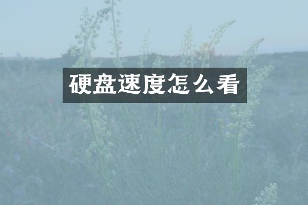 硬盘速度怎么看