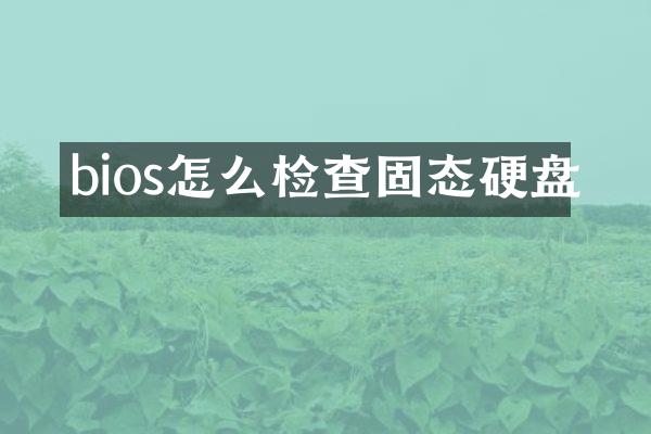 bios怎么检查固态硬盘