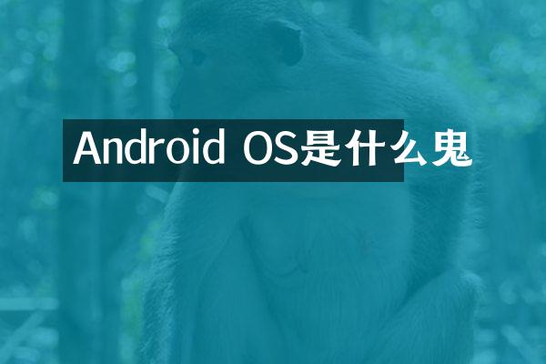 Android OS是什么鬼