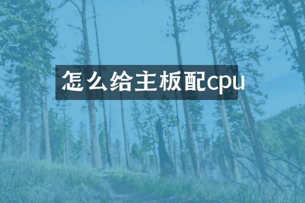 怎么给主板配cpu