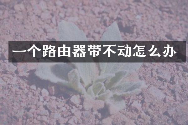 一个路由器带不动怎么办