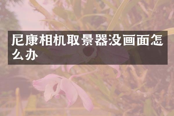 尼康相机取景器没画面怎么办