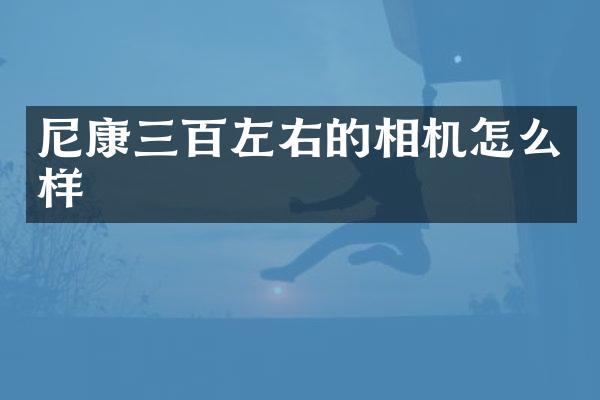 尼康三百左右的相机怎么样