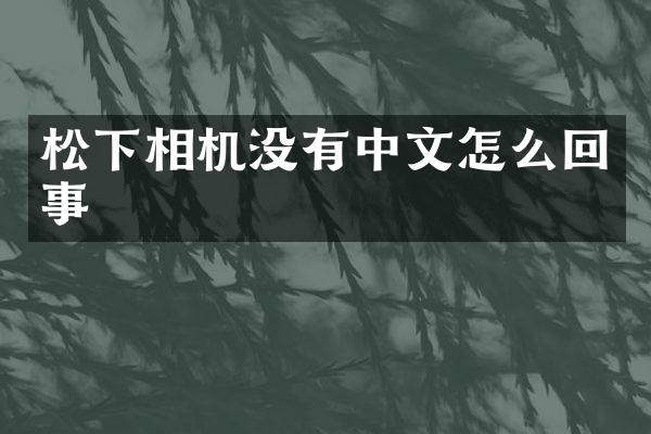 相机没有中文怎么回事