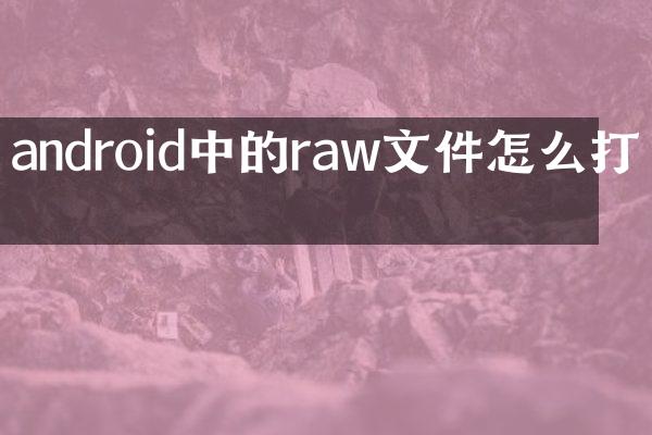 android中的raw文件怎么打开