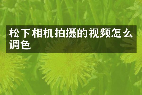 相机拍摄的视频怎么调色