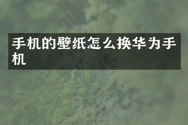 手机的壁纸怎么换华为手机