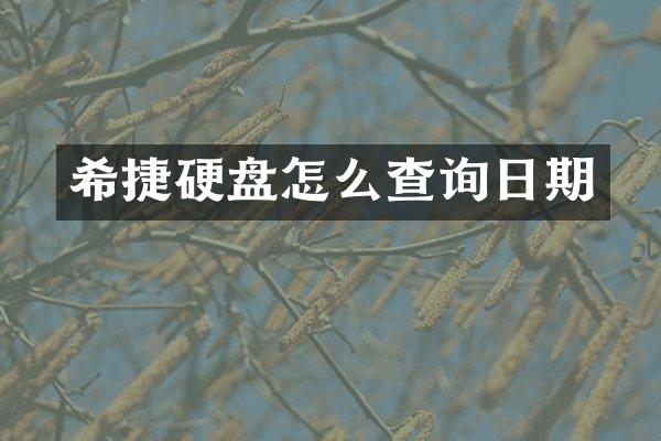 希捷硬盘怎么查询日期