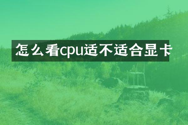 怎么看cpu适不适合显卡
