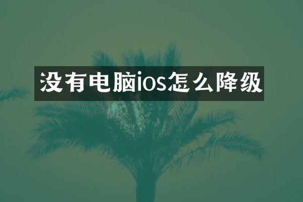 没有电脑ios怎么降级
