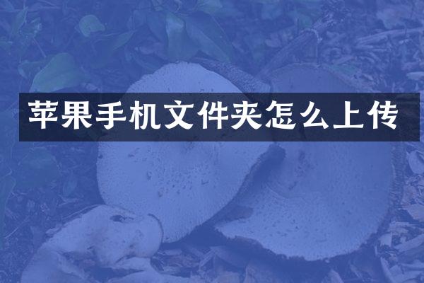 苹果手机文件夹怎么上传