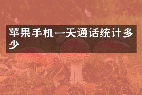 苹果手机一天通话统计多少