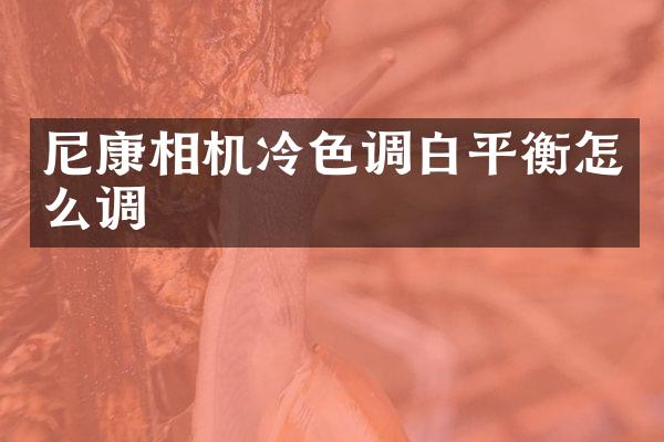 尼康相机冷色调白平衡怎么调