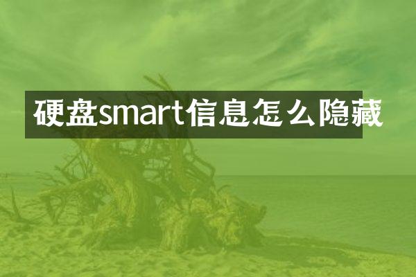 硬盘smart信息怎么隐藏