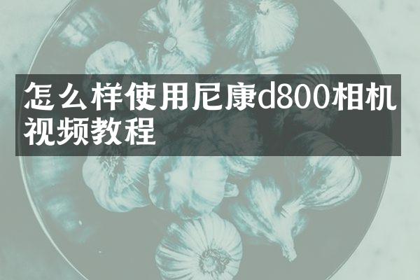 怎么样使用尼康d800相机拍视频教程