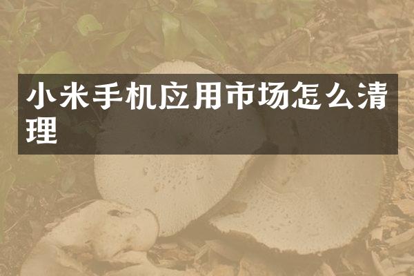 小米手机应用市场怎么清理