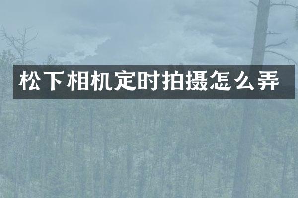 相机定时拍摄怎么弄