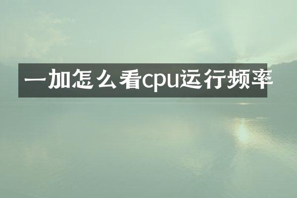 一加怎么看cpu运行频率